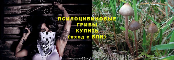 первитин Балахна