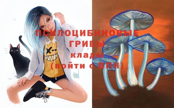 первитин Балахна