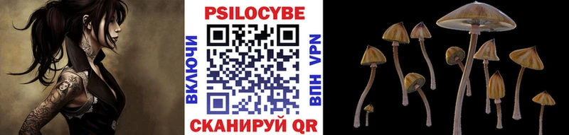 МЕГА вход  Новомосковск  Псилоцибиновые грибы ЛСД 