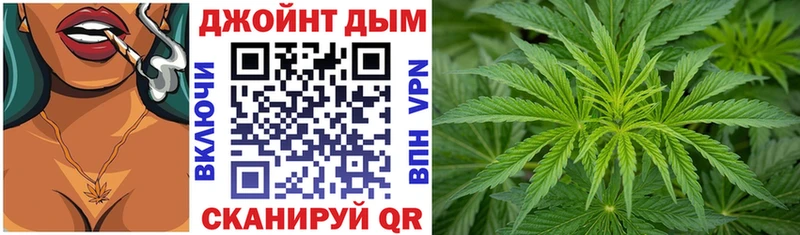 где купить наркоту  Новомосковск  Канабис план 